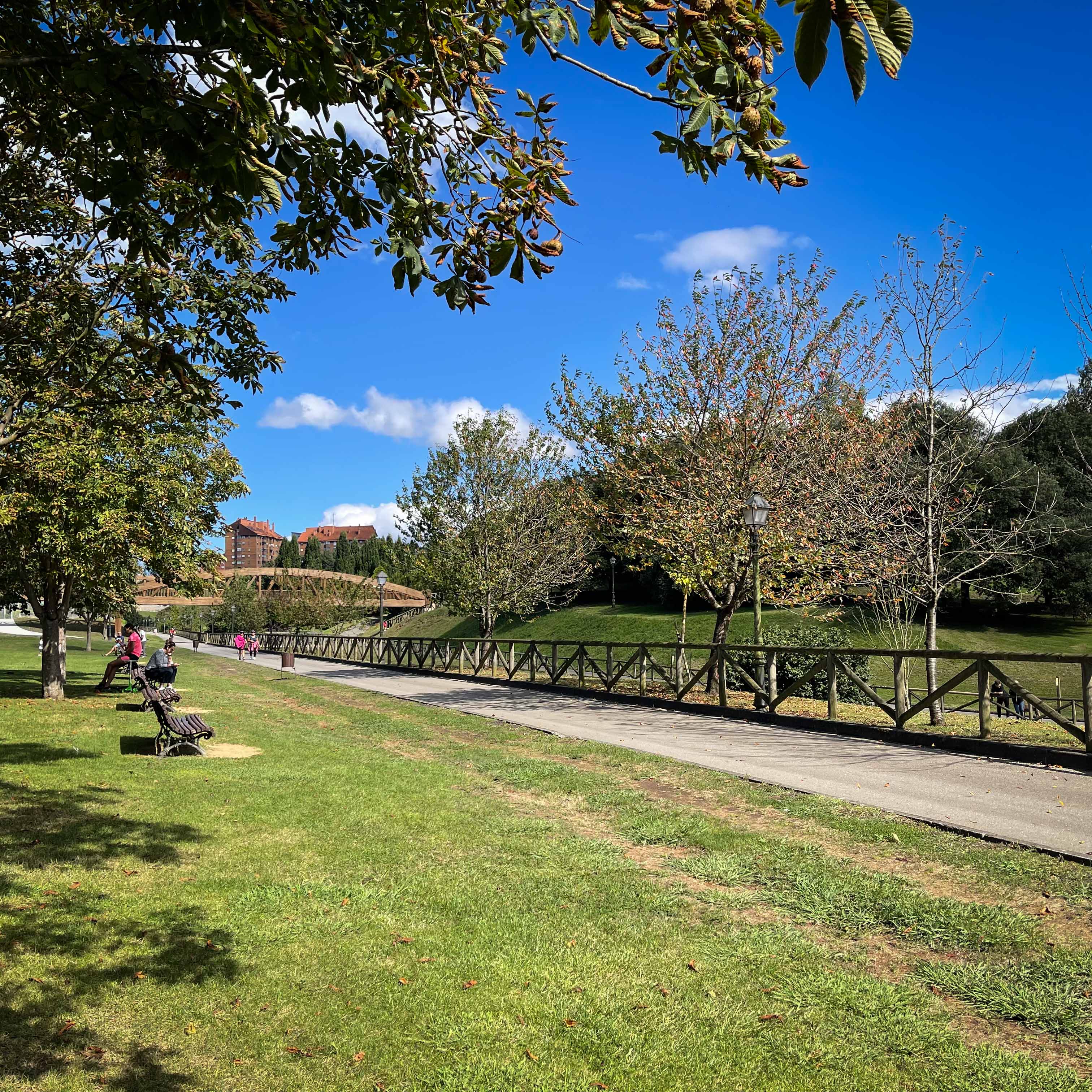 sendero recto entre praderas y arbolado